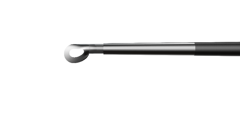 Tip
